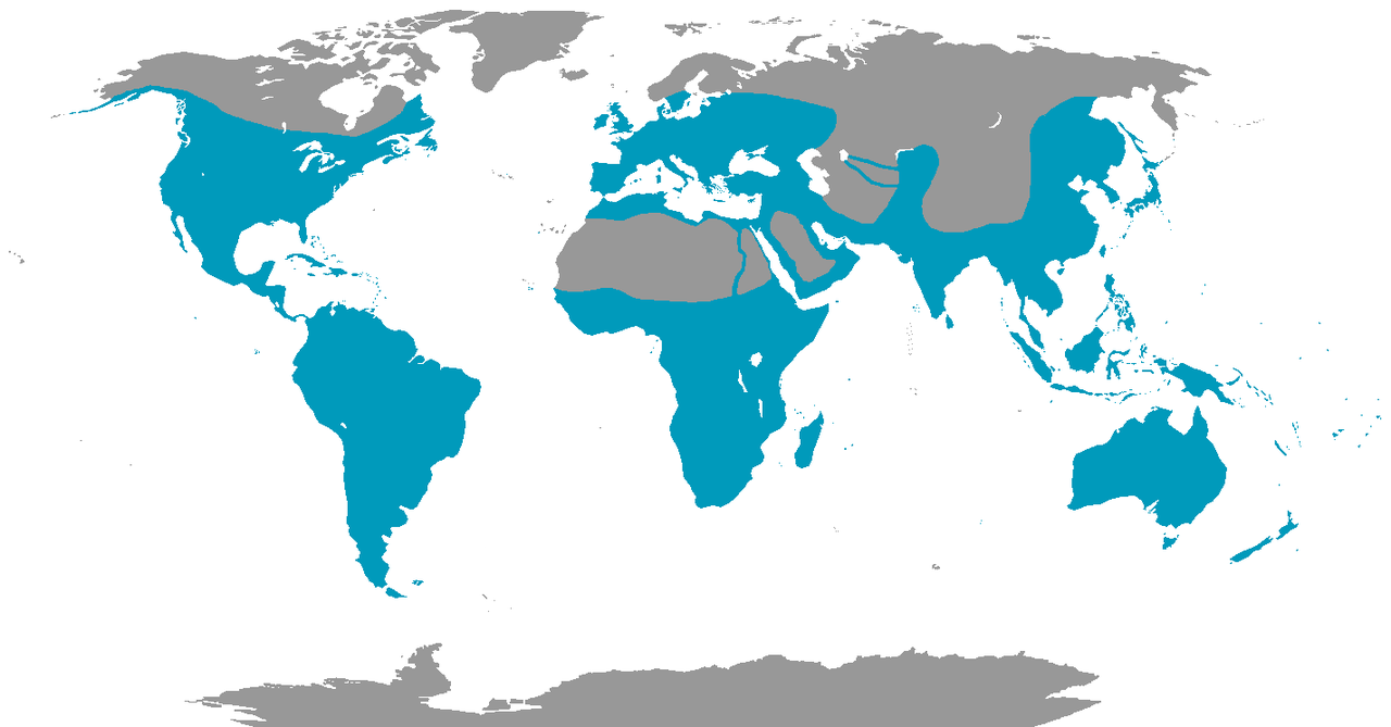Kingfisher map